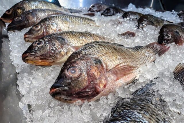 دریا، بازار مشاغل را غافلگیر کرد