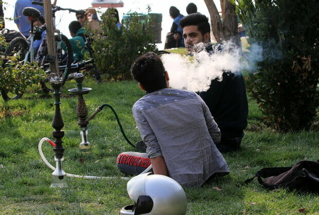 وقتی قُلقُل قلیانهای میوهای جوانان را قلقلک میدهد