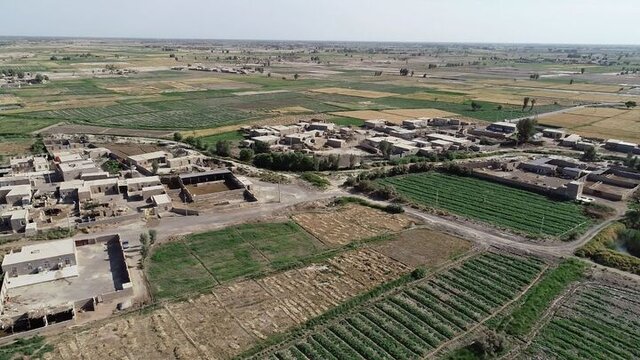 تشکیل قرارگاه صدور اسناد کشاورزی در دولت سیزدهم انگیزه را به کشاورزان برگرداند تشکیل قرارگاه صدور اسناد کشاورزی در دولت سیزدهم انگیزه را به کشاورزان برگرداند