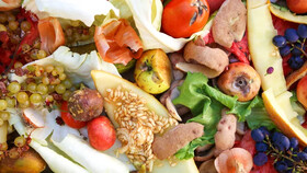 تبدیل مواد غذایی به ضایعات، نشان‌دهنده ناکارآمدی زنجیره غذایی است