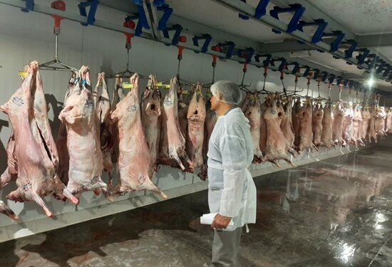 دامپزشکی خواف آماده نظارت بر ذبح ۱۰ هزار دام برای عید قربان دامپزشکی خواف آماده نظارت بر ذبح ۱۰ هزار دام برای عید قربان