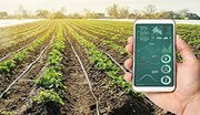 مدیریت مزرعه نیازمند نگاه چندبعدی است