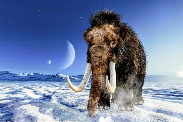 انسانها مقصر انقراض حیوانات بزرگ بودند؟ انسانها مقصر انقراض حیوانات بزرگ بودند؟