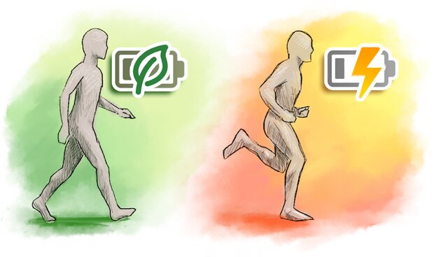 برای مصرف بیشتر انرژی بدویم یا پیادهروی کنیم؟