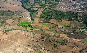 ۴۴هزار هکتار از اراضی کشاورزان تربت‌جام بازگردانده می‌شود