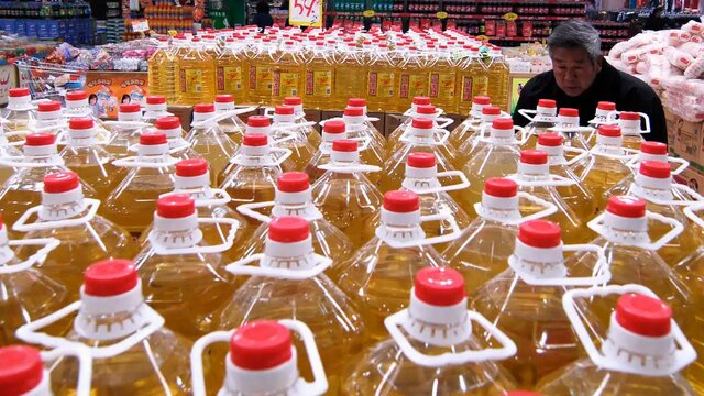 تصویر تزیینی است جریمه برای قاچاقچی روغن در ایرانشهر