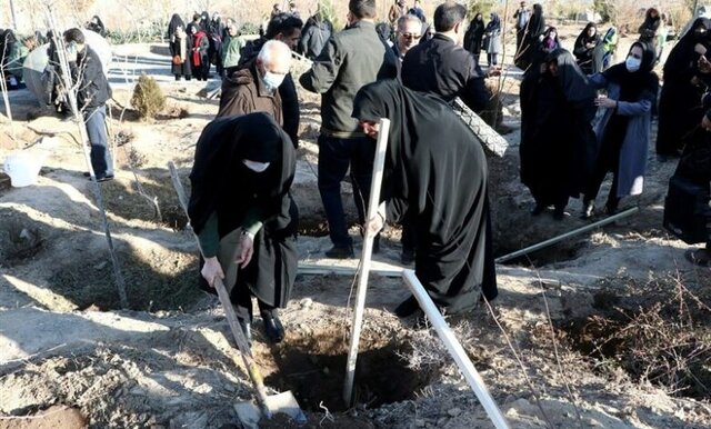 خانههای همیار طبیعت؛ راهی برای جلوگیری از نابودی عرصههای طبیعی