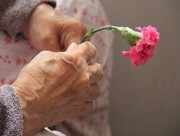 رشد ۳۰ درصدی سالمندان خراسان رضوی تا سال ۱۴۳۰