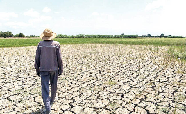 خاموشیهایی که نبض کشاورزی را به شماره انداخت