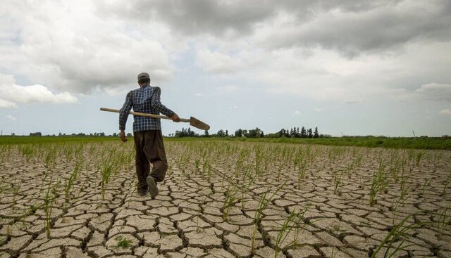 خاموشیهایی که نبض کشاورزی را به شماره انداخت