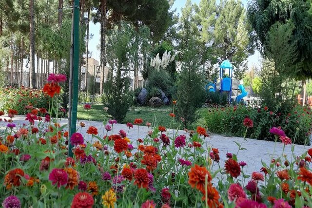 جدال درختان با گرمای طاقتفرسا