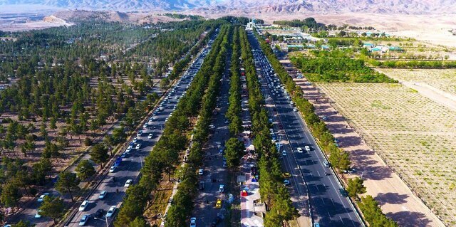 جدال درختان با گرمای طاقت‌فرسا