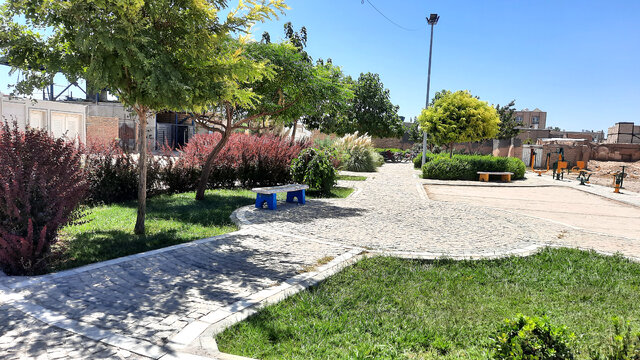 جدال درختان با گرمای طاقتفرسا