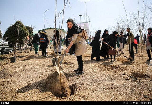بیش از ۴۰۰ دستگاه چاه موتور در حال مکش آب بحرانیترین دشت کشور