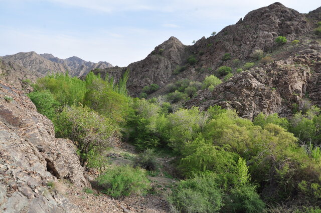 بیش از ۴۰۰ دستگاه چاه موتور در حال مکش آب بحرانیترین دشت کشور