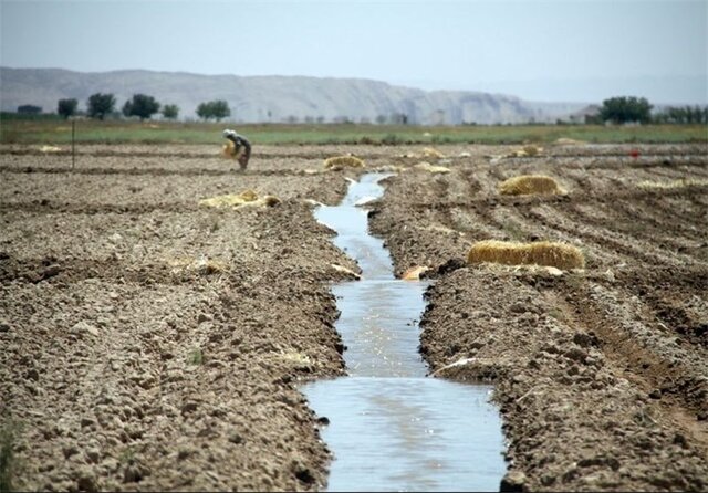 رمقی برای کشاورزان شهرستان کاشمر باقی نمانده است