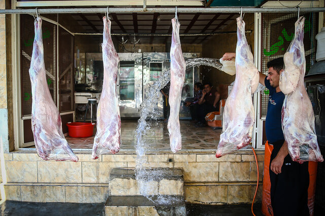 عکس از آرشیو است کشتار دام روستاهای کاشمر در پشت قصابی انجام میشود