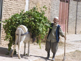 حال ناخوش روستائیان خراسان و گلایه‌های آنها