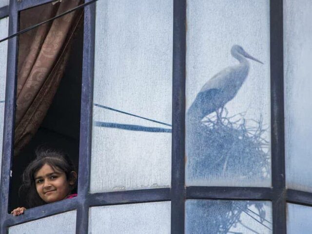 کسب مقام دوم جشنواره بینالمللی عکس مسکو توسط عکاس مشهدی