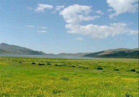 کاهش ۶۰ درصدی آتش‌سوزی در منابع طبیعی کرمان در سایه آگاهی عمومی و گشت‌های حفاظتی