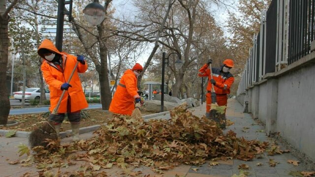 بازیافت سبز و بازگشت مواد آلی به چرخه فضای سبز