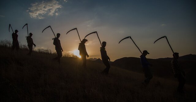 پرداخت به گندم کاران کلات نوشداروی بعد از مرگ سهراب نباشد