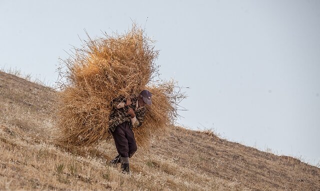 پرداخت به گندم کاران کلات نوشداروی بعد از مرگ سهراب نباشد