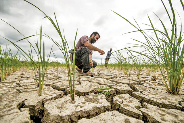 عکس از آرشیو خسارت ۴ هزار میلیارد تومانی قطع برق چاه موتورها به بخش کشاورزی بردسکن