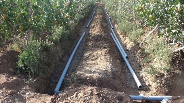 توسعه بخش کشاورزی در گرو اجرای سیستمهای نوین آبیاری