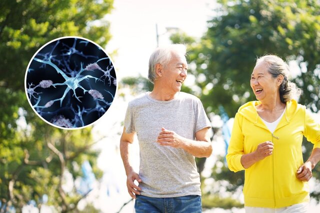 کدام ورزش با آلزایمر مقابله میکند؟