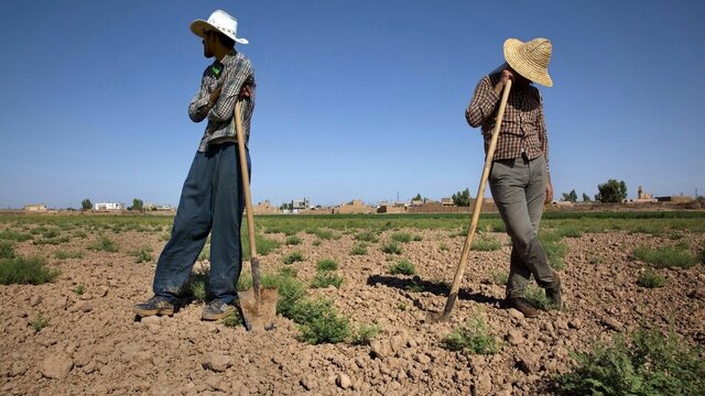 نبود تسهیلات ارزان قیمت مانع نصب پنل‌های خورشیدی