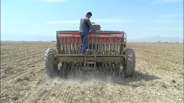 کشت دانه‌های روغنی برای شهرهای خراسان رضوی صرفه اقتصادی ندارد