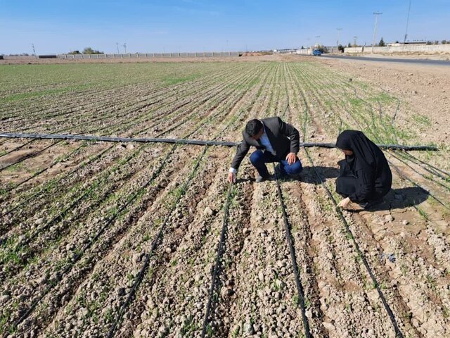 صرفهجویی ۴۰ درصدی در مصرف آب با اجرای آبیاریهای نوین