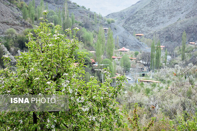 گردشگری؛ مهمترین اولویت سرمایهگذاری طرقبه شاندیز است