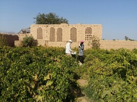 نباید باغ‌شهر خلیل‌آباد فدای معماری مدرن شود