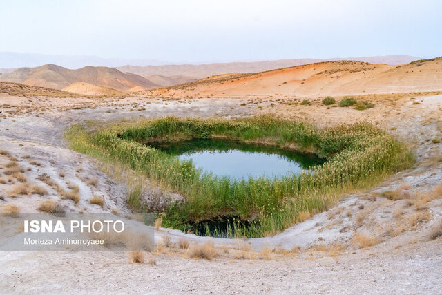 «سی سر» دیگر جان ندارد