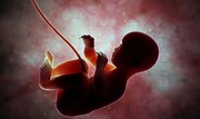 صدور ۸۷۵۸ مجوز سقط جنین از سوی پزشکی قانونی در سال گذشته