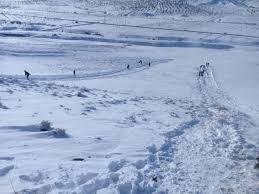 ناایمن بودن پیست تیوپ سواری روستای اکبرآباد با وجود درختان شکسته در زیر برف