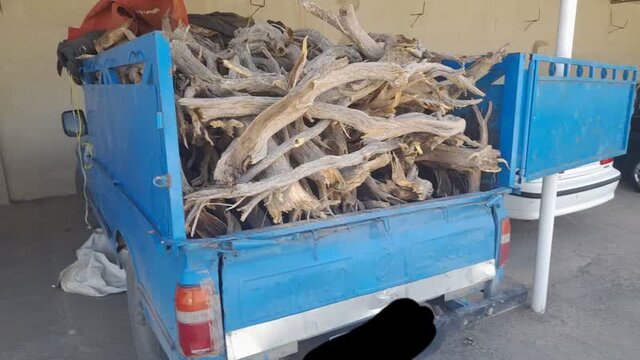 خلیلآباد مستعد بیابانزایی است