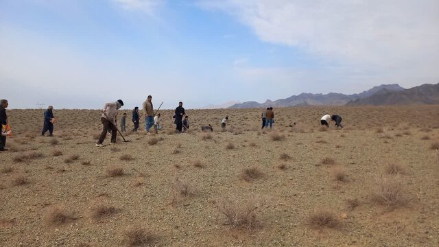 خلیل‌آباد مستعد بیابان‌زایی است