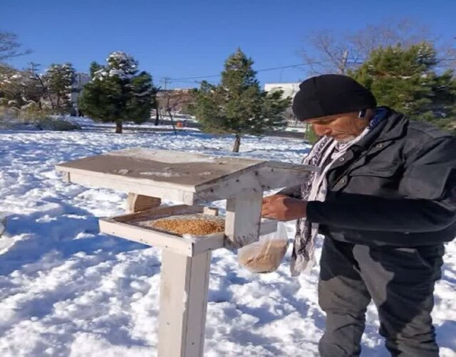 مدیریت گلکاریهای سطح شهر مشهد در طرح استقبال از بهار با توجه به برودت هوا