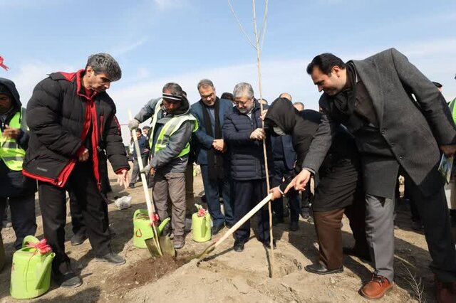 «درخت، سایه زندگی»؛ پویش سراسری درختکاری در مشهد «درخت، سایه زندگی»؛ پویش سراسری درختکاری در مشهد