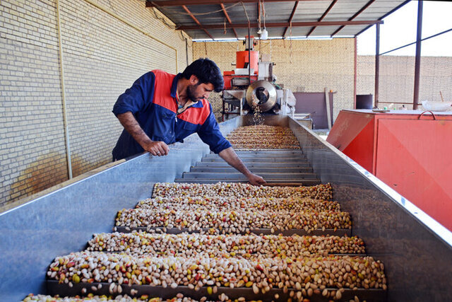 مهولات میتواند به یکی از مراکز مهم تولید پسته در سطح جهانی تبدیل شود