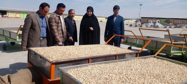 مهولات میتواند به یکی از مراکز مهم تولید پسته در سطح جهانی تبدیل شود