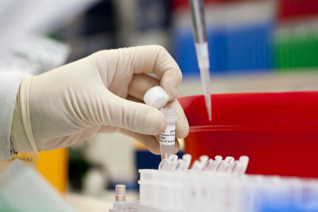 تشخیص بیماریهای پیچیده با کمک «اثر انگشت ایمنی»