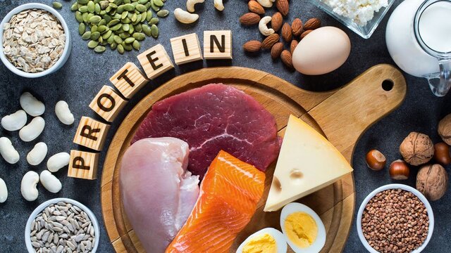 پروتئین حیوانی یا پروتئین گیاهی؛ کدام عضلهساز است؟