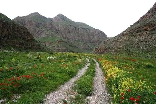 پارک ملی تندوره گنجینه‌ای طبیعی در ایران