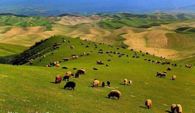 پارک ملی تندوره گنجینه‌ای طبیعی در ایران