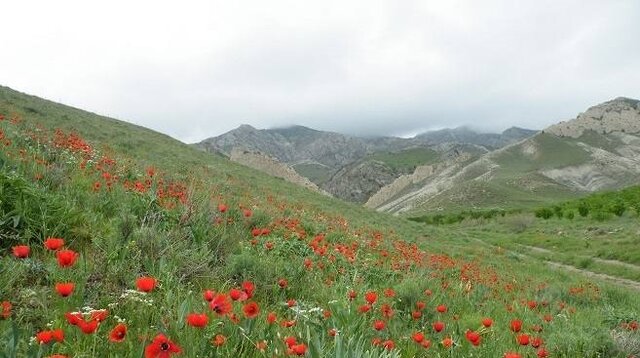 سفر به سرخس؛ تجربهای متفاوت در دل تاریخ و طبیعت