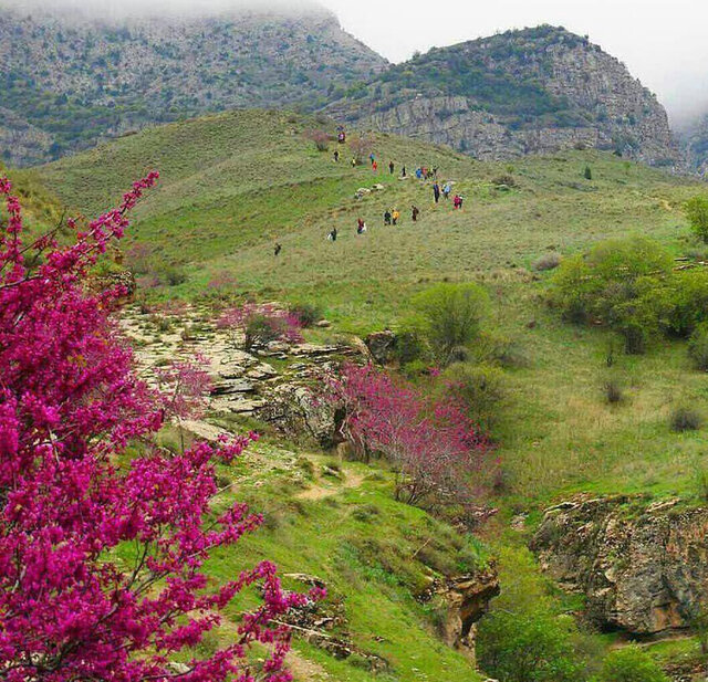 دره ارغوان، یکی از زیباترین و بکرترین مناطق طبیعی ایران